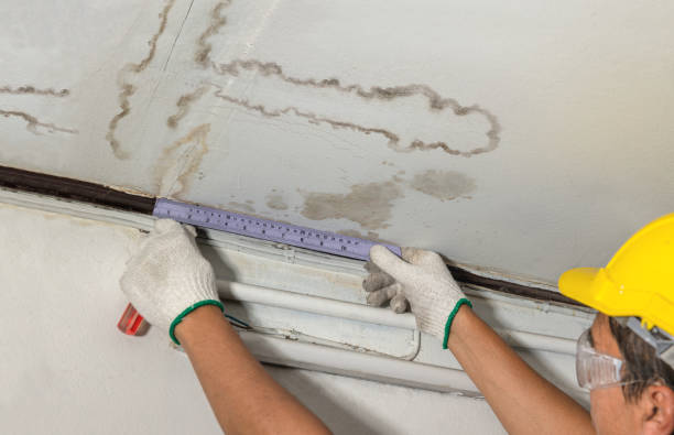 Reliable Mold Remediation contractor in Brooks, GA by Water Damage Irwin
